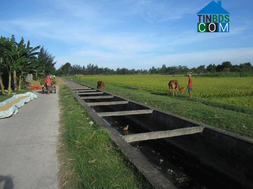 Hình ảnh Hoằng Tiến, Thanh Hóa