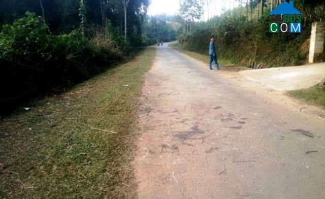 Hình ảnh Thạch Bình, Thanh Hóa