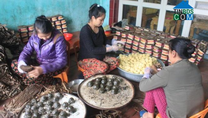 Hình ảnh Xuân Hòa, Thanh Hóa