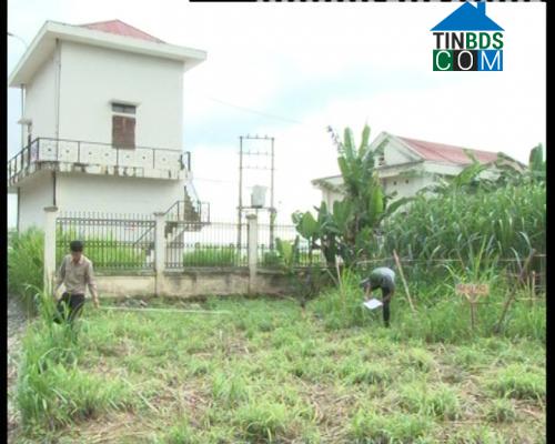 Hình ảnh Thành Vinh, Thanh Hóa