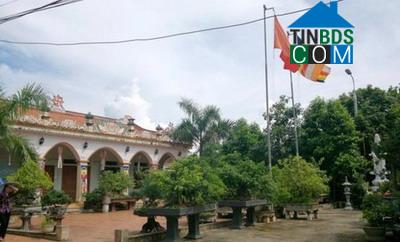 Hình ảnh Quang Trung, Thanh Hóa