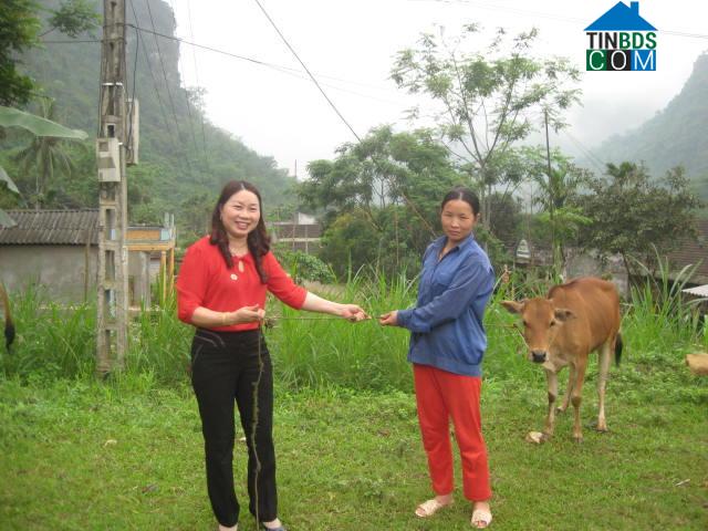 Hình ảnh Hà Trung, Thanh Hóa