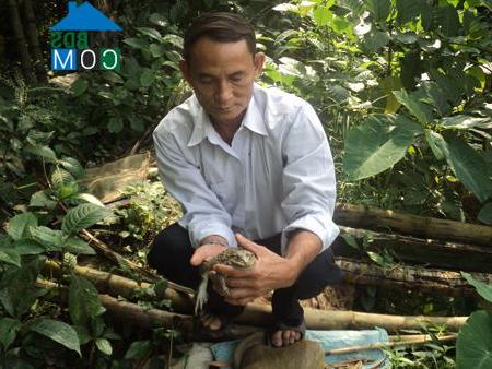 Hình ảnh Phú Hồ, Huế