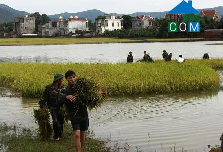 Hình ảnh Triệu Sơn, Thanh Hóa