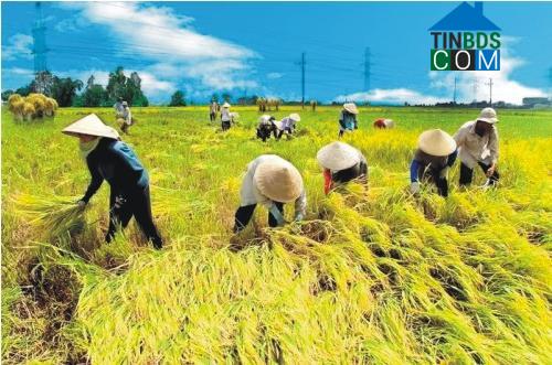 Hình ảnh Quý Lộc, Thanh Hóa