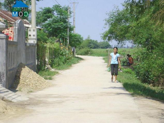 Hình ảnh Quảng Điền, Huế