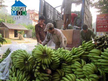 Hình ảnh Kim Bình, Tuyên Quang