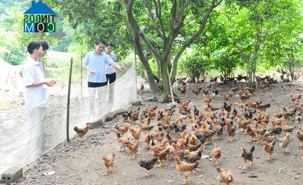 Hình ảnh Sơn Thủy, Tuyên Quang