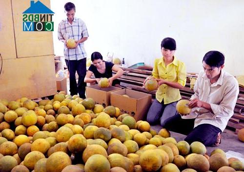 Hình ảnh Xuân Vân, Tuyên Quang