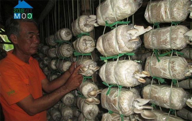 Hình ảnh Trung Hiệp, Vĩnh Long