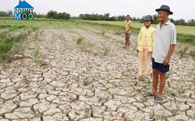 Hình ảnh Mỹ Long, Vĩnh Long