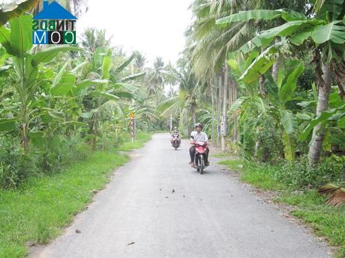 Hình ảnh Tân Thành Bình, Vĩnh Long