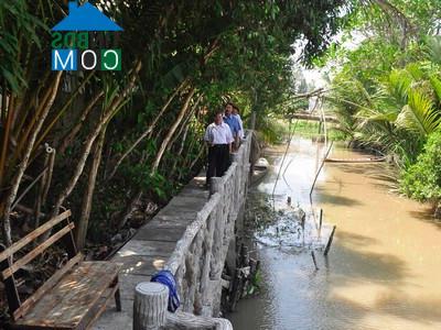 Hình ảnh Song Phú, Vĩnh Long