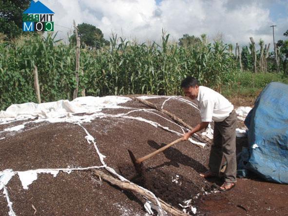 Hình ảnh Buôn Hồ, Đắk Lắk
