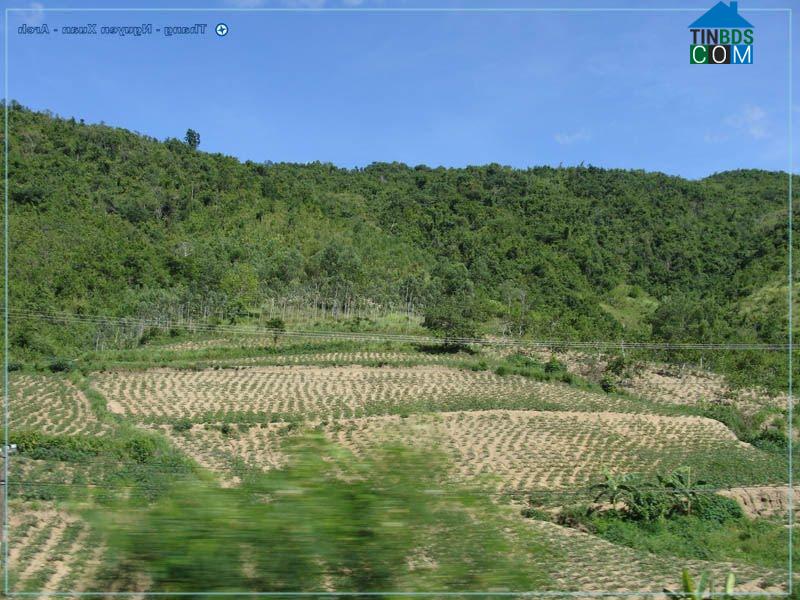 Hình ảnh Đồng Xuân, Đắk Lắk