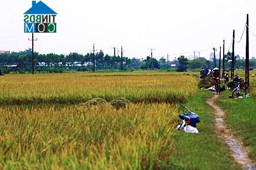 Hình ảnh Đại Xuyên, Hà Nội