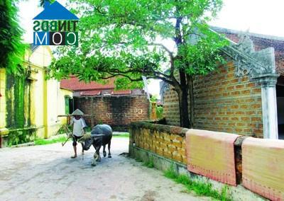 Hình ảnh Hòa Lạc, Hà Nội