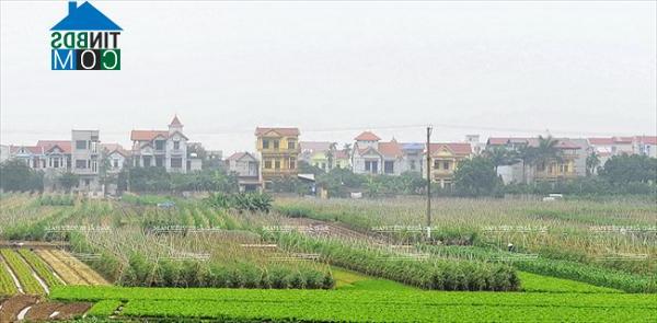 Hình ảnh Tiến Thắng, Hà Nội