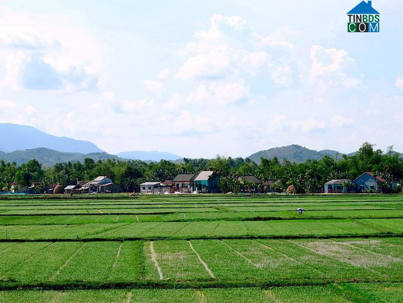 Hình ảnh Xuân Phú, Đà Nẵng