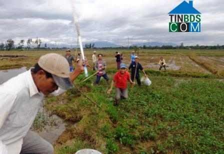 Hình ảnh Điện Bàn Đông, Đà Nẵng