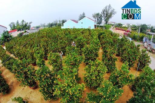 Hình ảnh Hội An Tây, Đà Nẵng