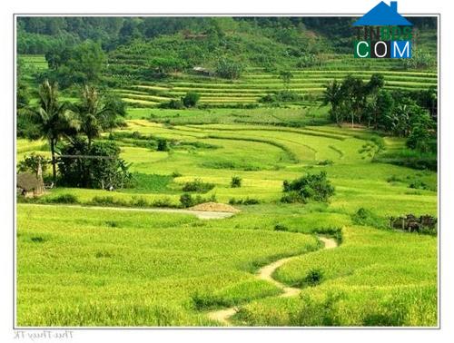 Hình ảnh Tây Hồ, Đà Nẵng