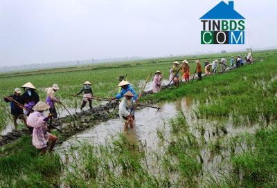 Hình ảnh Thu Bồn, Đà Nẵng