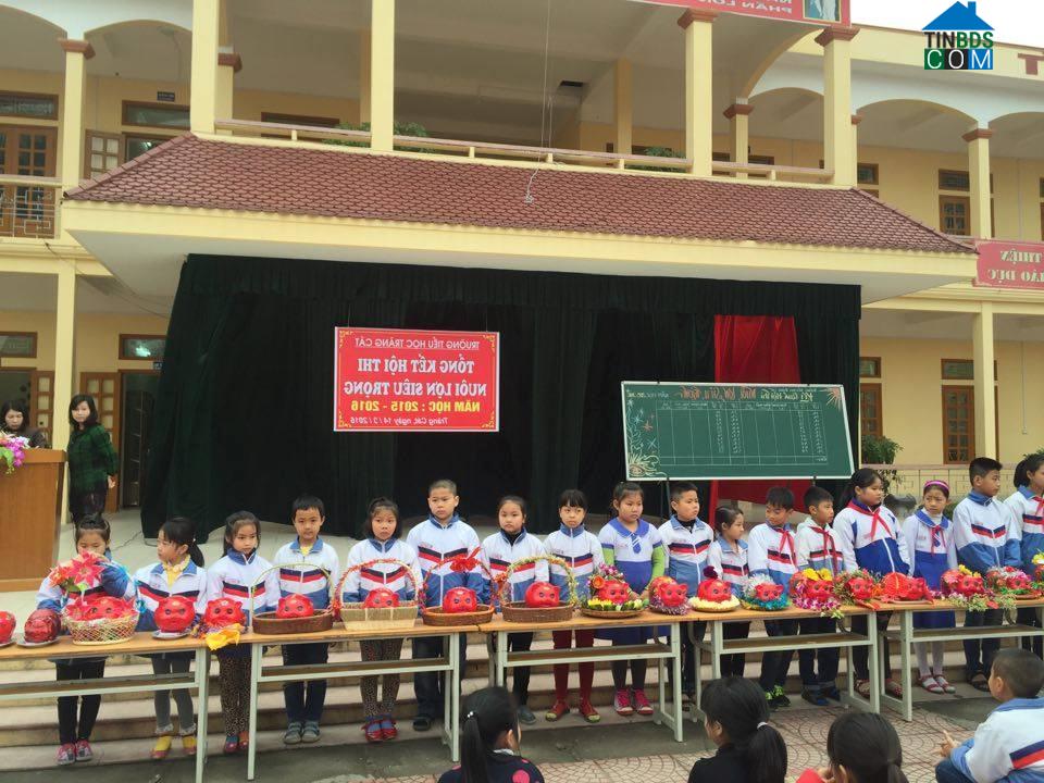 Hình ảnh Hải An, Hải Phòng