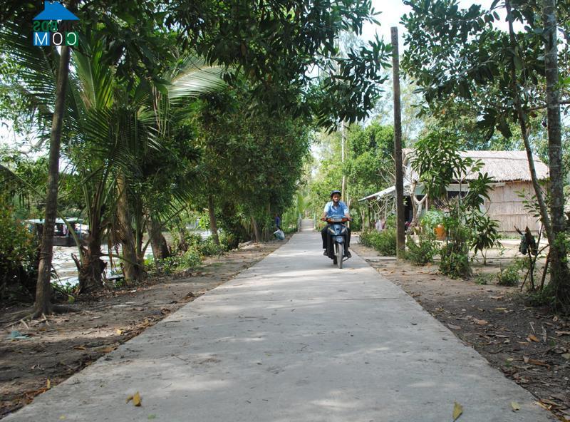 Hình ảnh Định Hòa, An Giang