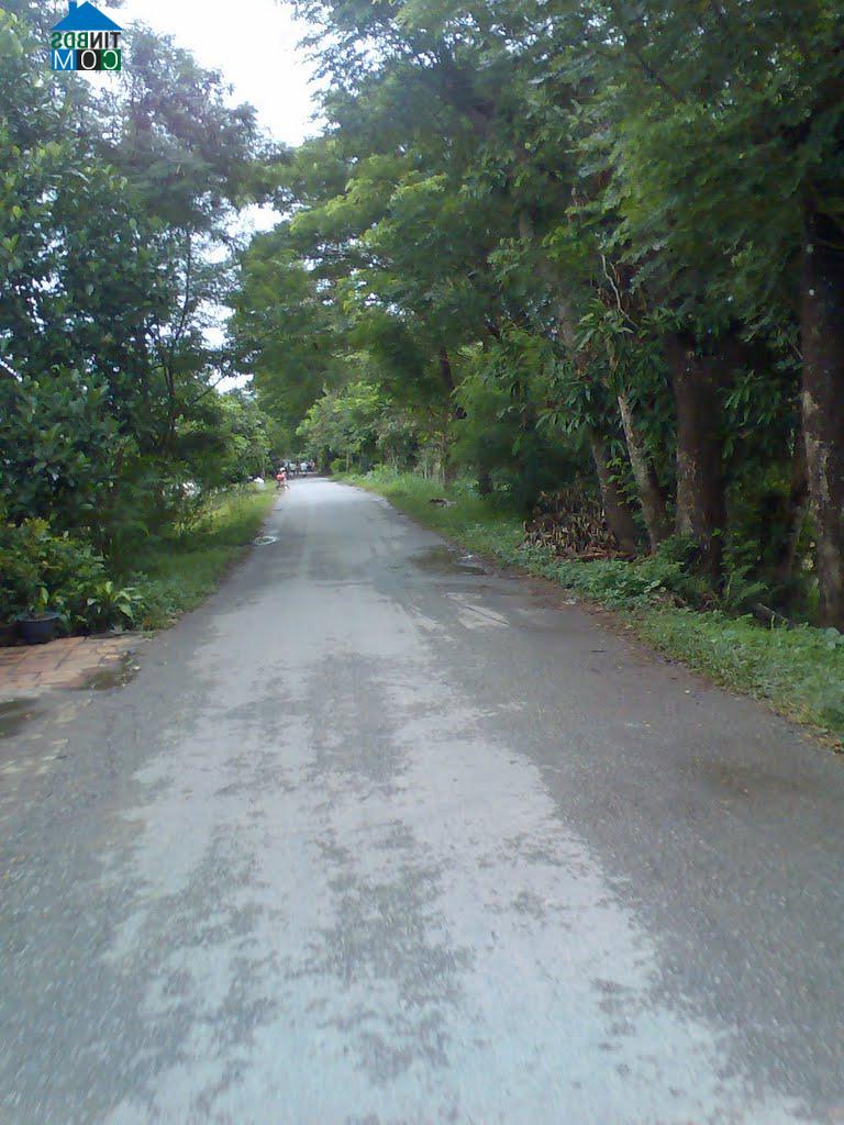 Hình ảnh Cù Lao Giêng, An Giang