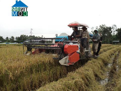 Hình ảnh Sơn Kiên, An Giang