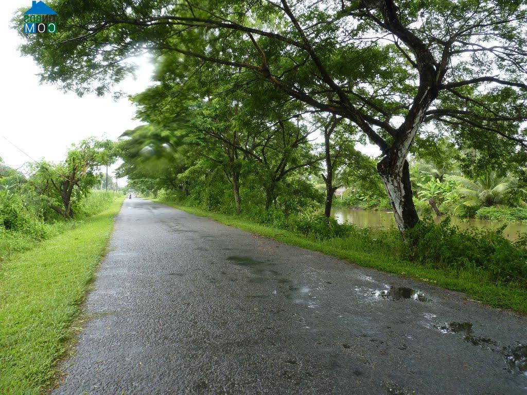 Hình ảnh Đông Thái, An Giang