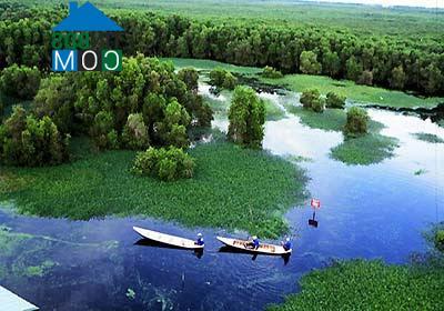 Hình ảnh Vĩnh Hòa, An Giang