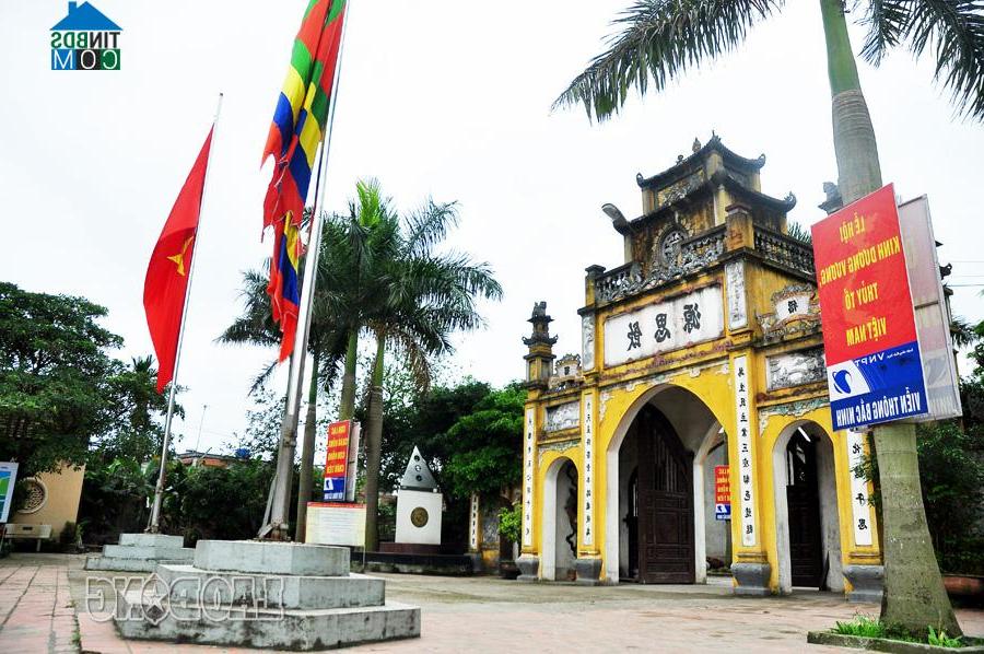 Hình ảnh Thuận Thành, Bắc Ninh