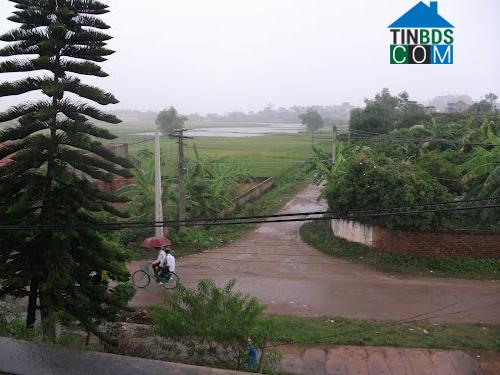 Hình ảnh Tân An, Bắc Ninh