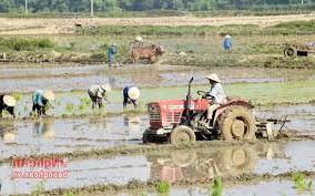 Hình ảnh Tân Kỳ, Nghệ An