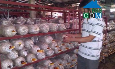 Hình ảnh Yên Khánh, Ninh Bình