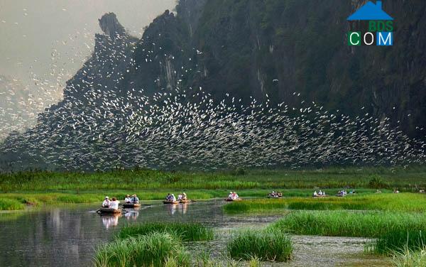 Hình ảnh Gia Vân, Ninh Bình
