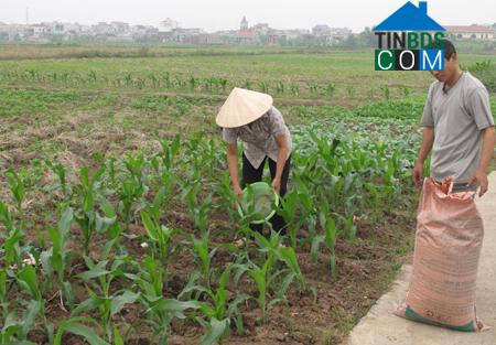 Hình ảnh Nghĩa Hưng, Ninh Bình