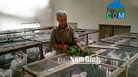 Hình ảnh Ninh Giang, Ninh Bình