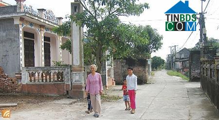 Hình ảnh Vụ Bản, Ninh Bình