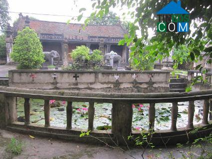 Hình ảnh Yên Cường, Ninh Bình