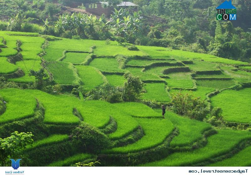 Hình ảnh Thung Nai, Phú Thọ