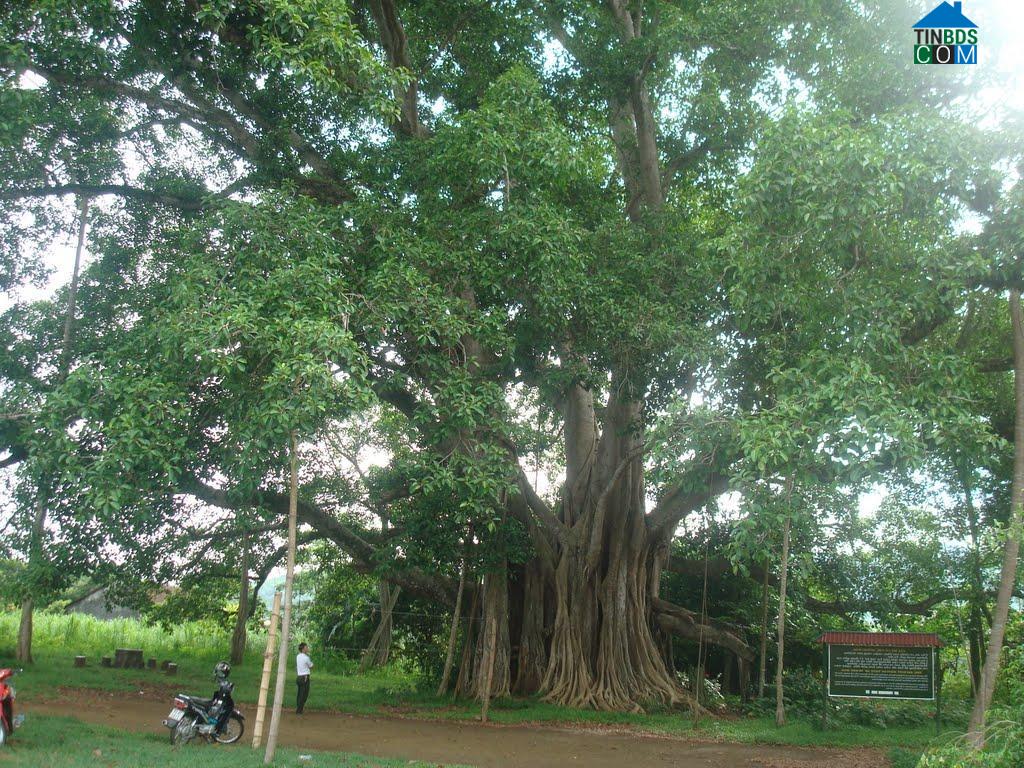 Hình ảnh Tân Lạc, Phú Thọ
