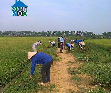 Hình ảnh Thanh Miếu, Phú Thọ