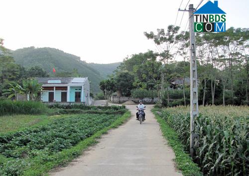 Hình ảnh Thanh Sơn, Phú Thọ