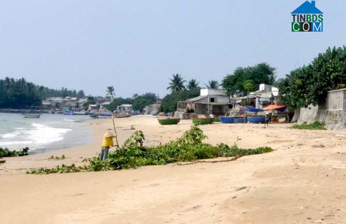 Hình ảnh Vạn Tường, Quảng Ngãi