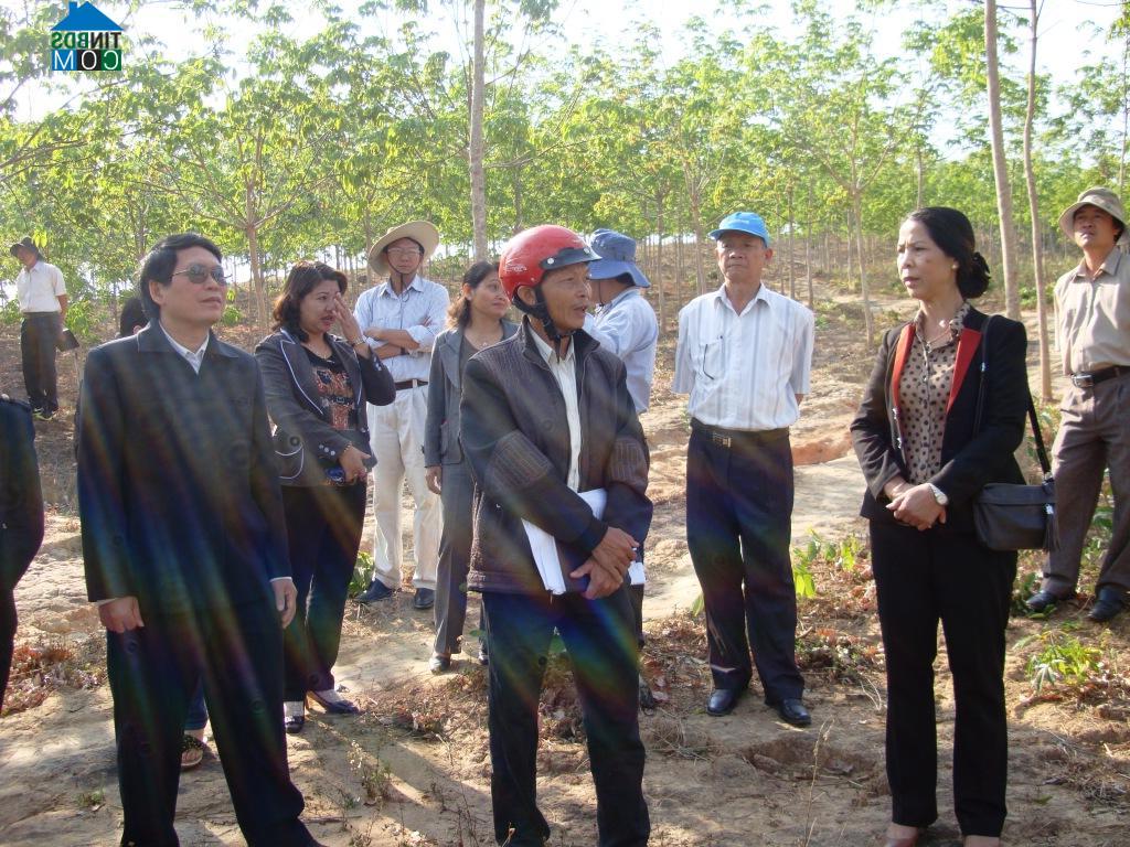 Hình ảnh Đăk Rơ Wa, Quảng Ngãi