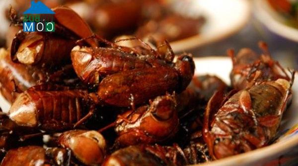 Hình ảnh Đăk Rve, Quảng Ngãi