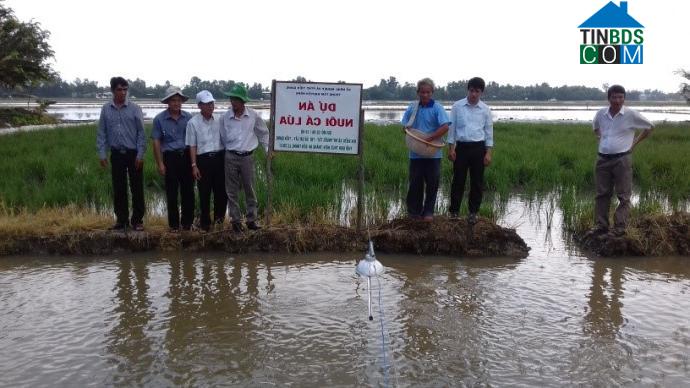 Hình ảnh Mỹ Phước Tây, Đồng Tháp